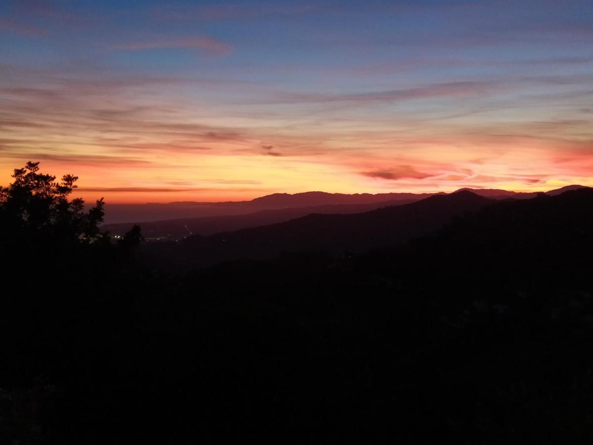 B&B La Madrugada Cómpeta Kültér fotó